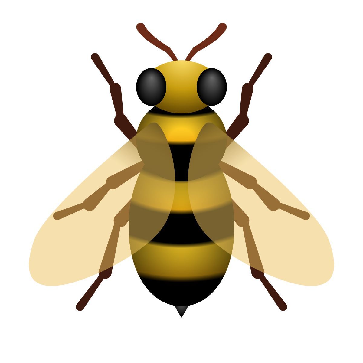 声动岛节奏小岛
